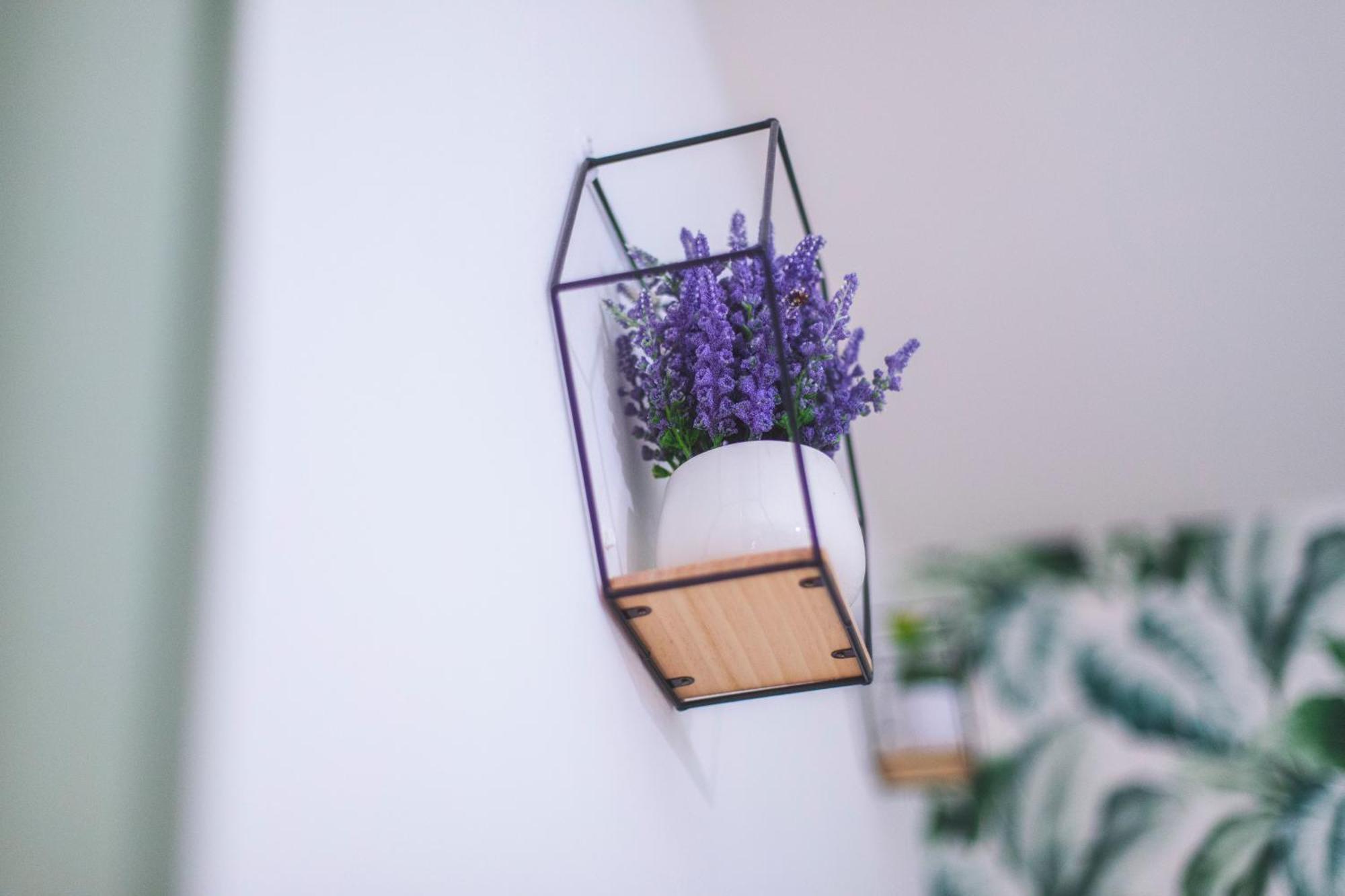 Home Caronda CTA Eksteriør bilde